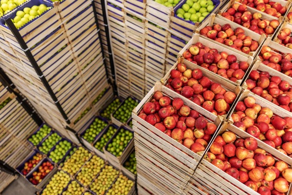 Global Trade of Fresh Fruits – Delivering Nature’s Best Worldwide